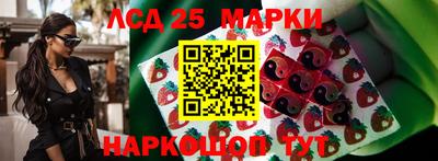 стафф Будённовск
