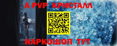 стафф Будённовск